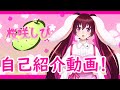 【自己紹介】🌸桜咲しびと申します🐰【新人Vtuber】