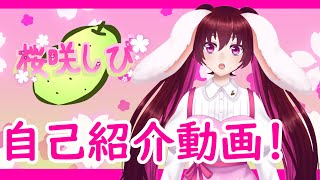 「【自己紹介】🌸桜咲しびと申します🐰【新人Vtuber】」のサムネイル