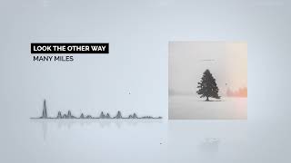 MANY MILES - Look The Other Way