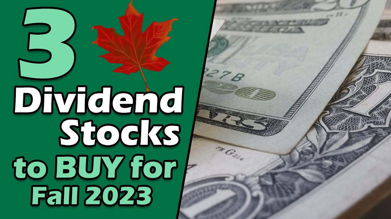 3 Cheap High Quality Dividend Stocks to BUY for FALL 2023 - YouTube