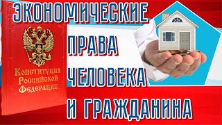 Экономические права человека и гражданина