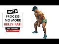 DAY 8 - LOSE WEIGHT - EXERCISES TO LOSE BELLY FAT (Series Of Training Days At Home)