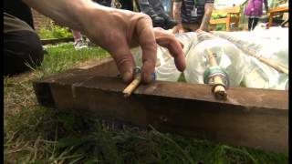 kingfisher Project  Bottle Greenhouse