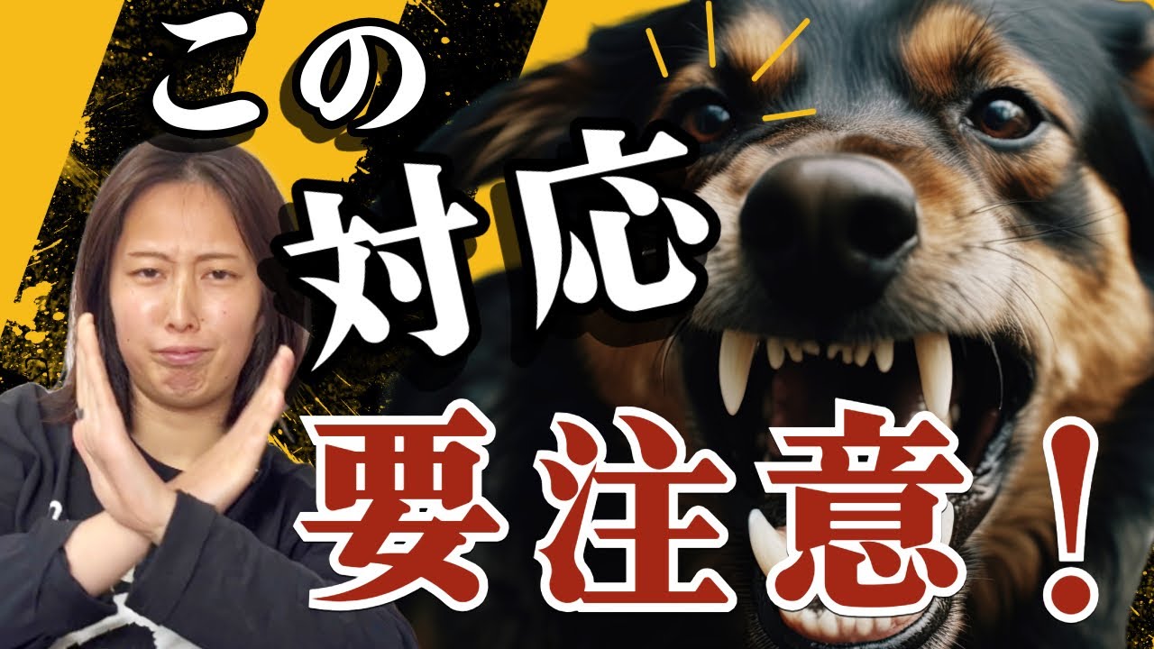 知らずにやってるかも！】噛む犬にやってはいけない“NG対応”とは