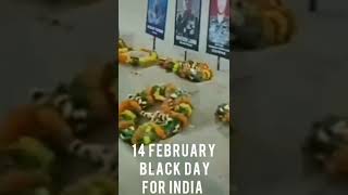 Valentine day || Pulwama attack || full screen whatsapp status