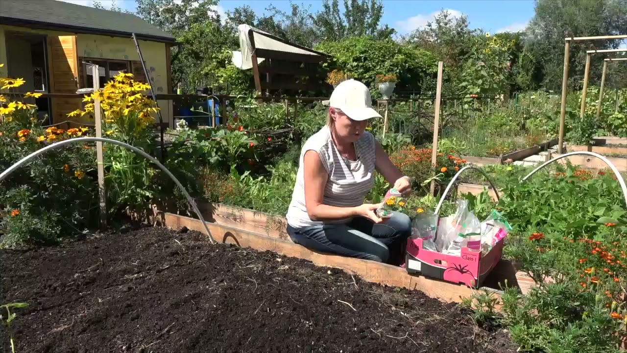 GRZĄDKA PO PLONACH czyli POPLON