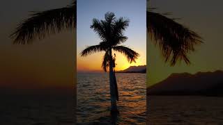 #foryou #nature #pretty #water #viral #like #awsome #yes #more