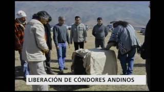 Juan Pablo Juliá, director de la reserva Horco Molle