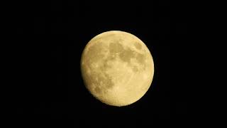 DSCN0096