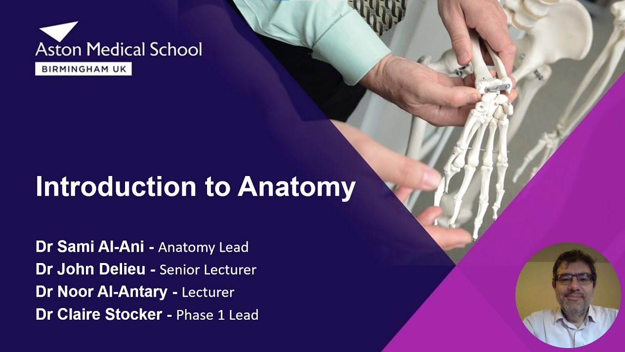Introduction to Anatomy and Resources at AMS for Anatomy