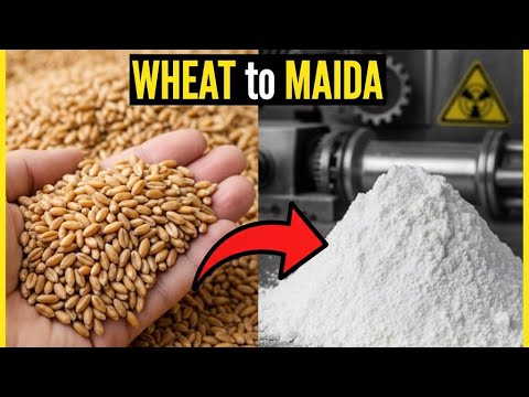 How Maida is Made- Journey Inside a Flour Mill - Step by Step Process # ...