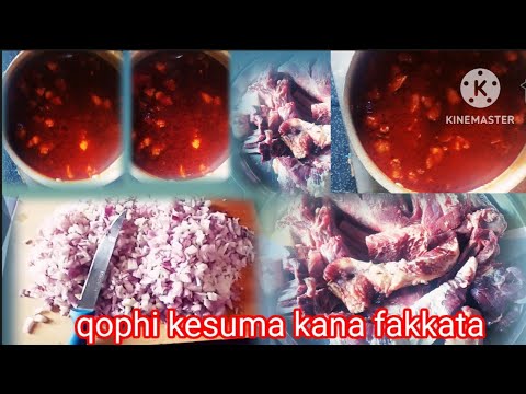 Waaw Harra Kesumma Qaba Qophen Kiyya Kana Fakkata