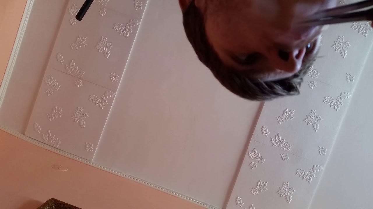 2 in 1 jaw harp "Meditation" YouTube