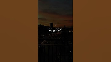 تلاوة خاشعة تريح القلب وتزيل الهموم | الشيخ ماهر المعيقلي | سكينة نفسية #ماهر_المعيقلي #short