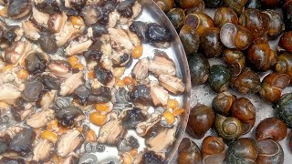 Healthy Snail Ghongha Banaye ek bar village style me aap bolenge pahale kyn nahi bataya snail recipe