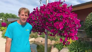 Summer Garden Tour at Ted Lare Garden Center!