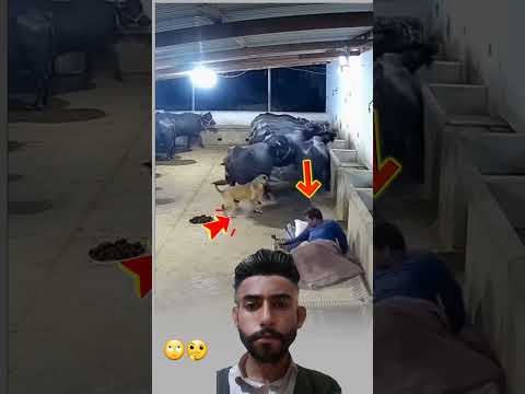 مكنت تضنه فوضى لم يكن بل كان تدبير من الله ليوقضك ان هناك شي ماء  اكسبلور