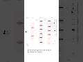 Future-Ready Wi‑Fi 7 Architecture for High-Density Enterprise Network | FS #wifi7 #FSPicOS #shorts