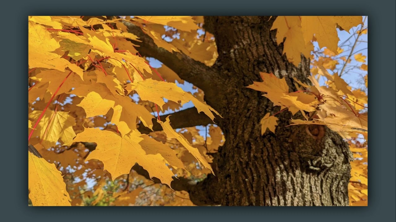 Petr Šplíchal, Miloš Prchlík – tmt (Test Management Tool)