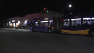 MTA Bus: New Flyer Xcelsior XD60 Artic Q111 Buses@Foch/Guy R. Brewer Boulevards
