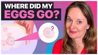 Zero Eggs After Egg Retrieval? Here’s Why It Happens