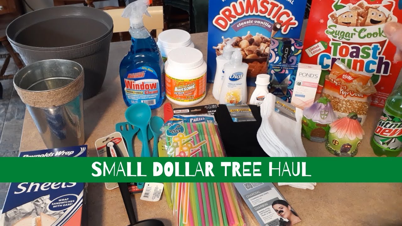 SMALL DOLLAR TREE HAUL - YouTube
