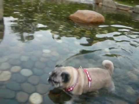 長居公園で水浴び