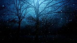 Winter Night Background Animation Loop Video Effects
