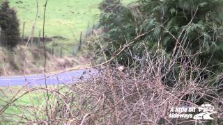 Jonesy   Taranaki Tarmac Rally 2014   SS1