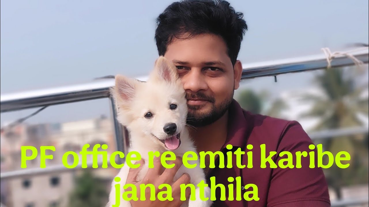 PF office ଲୋକ ate ହଇରାଣ କରୁଛନି||Travel with Rebel 