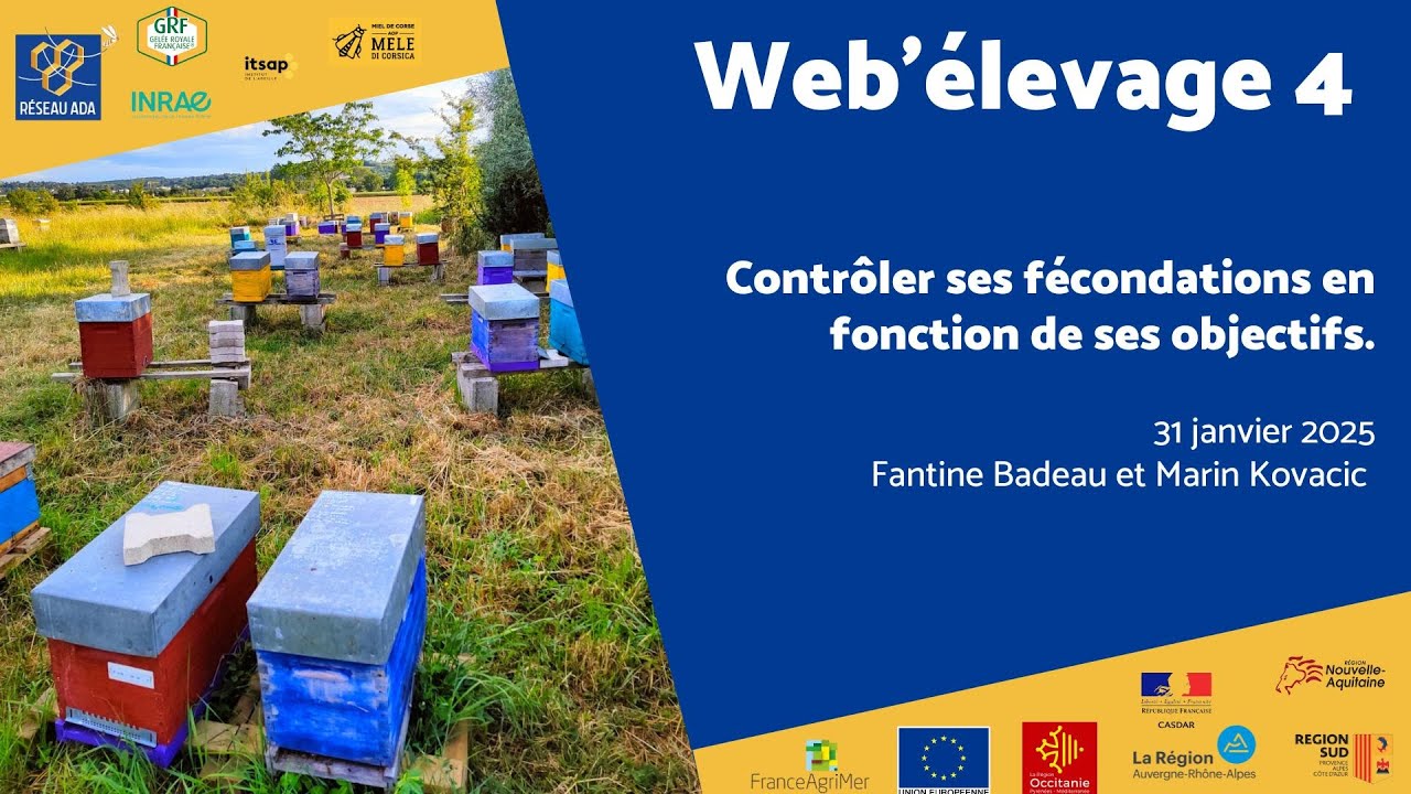 Web'élevage 4 : Contrôler ses fécondations en fonction de ses objectifs.