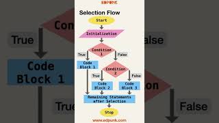 Celebrity [Day 33] Selection Statements in Python - if .. else | Light Mode #100daysofpython Net Worth