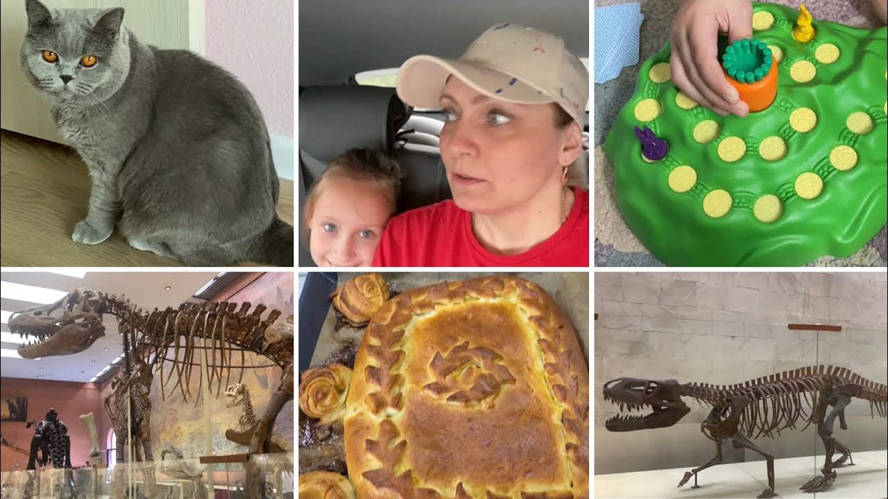 Вкусный пирог.Сколько стоит балконная рама.Палеонтологический музей ...