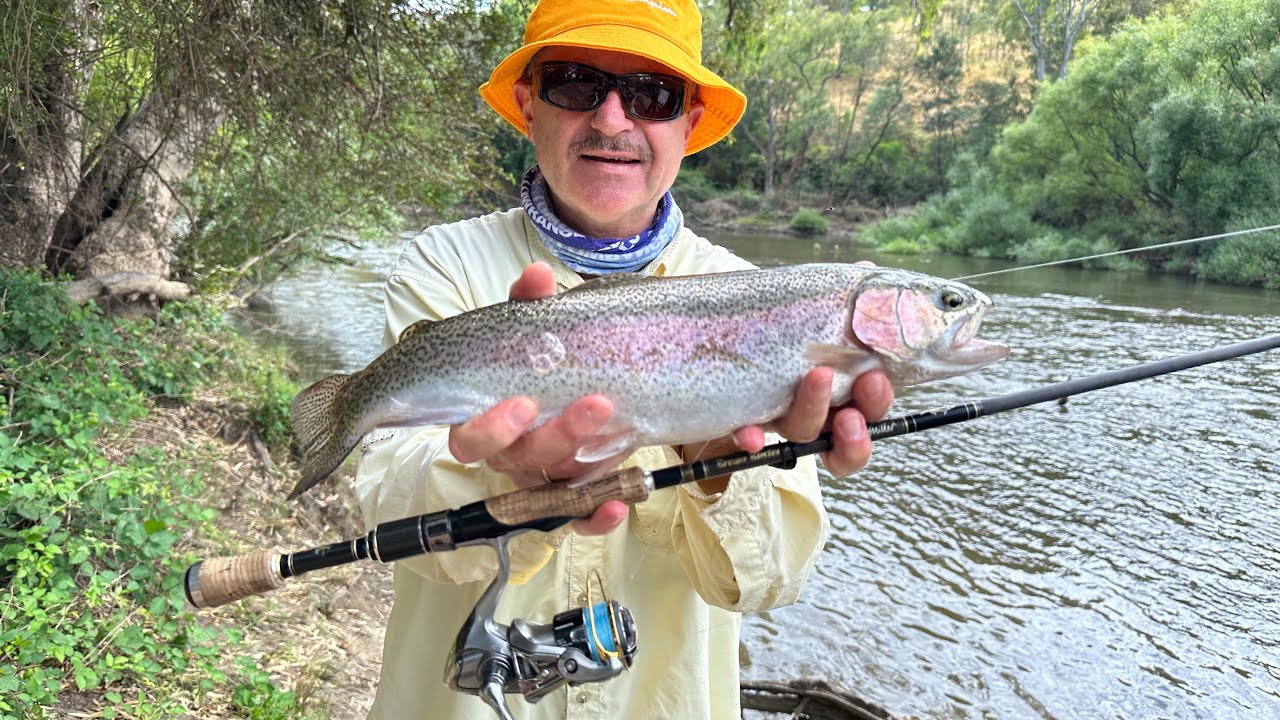 Trout fishing - Goulburn River - Victoria