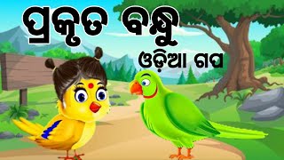 ପ୍ରକୃତ ବନ୍ଧୁ //Prakruta bandhu //odia gapa //Odia kahani//Odia bird cartoon.