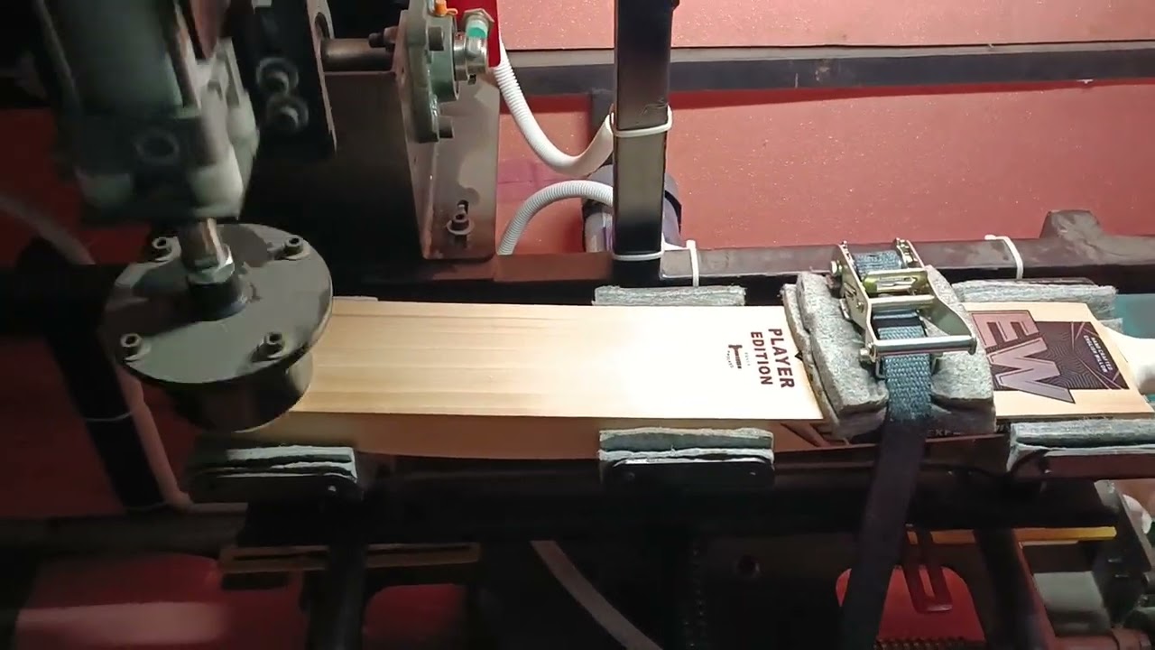 Expert Willow Cricket bat knocking.