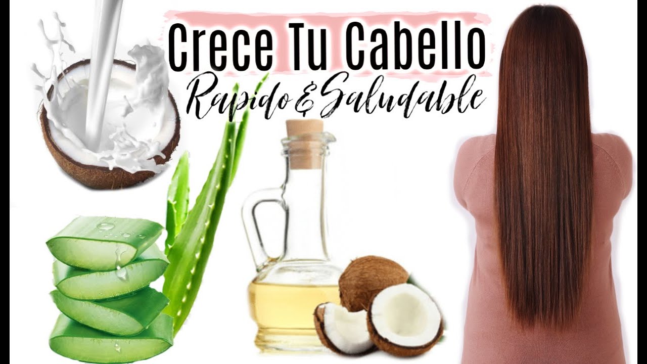 empeñar la licenciatura trama CRECE TU CABELLO RAPIDO & SALUDABLE CON SABILA Y LECHE DE COCO 🥥  BeautyBypriscila - YouTube