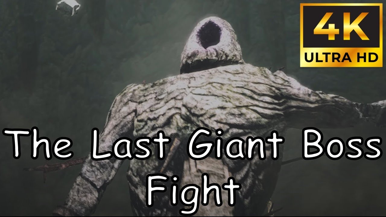 The Last Giant Boss Fight (Dark Souls 2 Scholar of the First Sin)