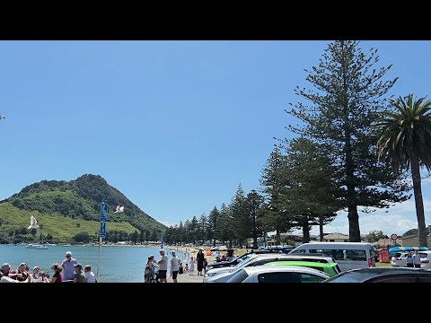 Pilot Bay Beach Mount Maunganui nz