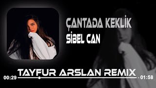 Sibel Can - Daha Neler Amanın Daha Neler (Tayfur Arslan Remix) | Çantada Keklik.