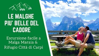 AURONZO DI CADORE: COSA VEDERE | Escursione facile a Malga Maraia e Rifugio Città di Carpi