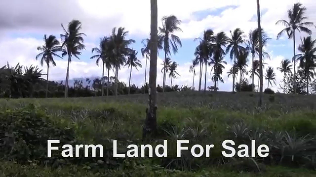 San Pablo City Farm For Sale YouTube