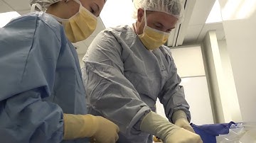 Setting Tools   Infinite Legacy