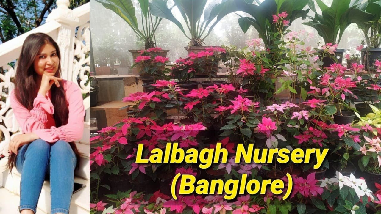Banglore's Lalbagh Nursery Tour Vlog Review Recent visit Varsha