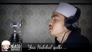 YA HABIBAL QOLBI - PENYEJUK HATI (LIRIK TANPA MUSIK)