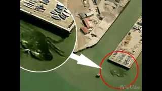 Crabzilla. Cangrejo Gigante Aterroriza Al Reino Unido