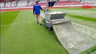 Rumput Stadion GBK Dijamin Siap Saat Duel Timnas Indonesia Hadapi Iraq 6 Juni