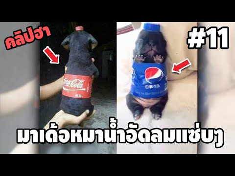 Ep.11 เบสไวน์ รวมคลิปฮา SS2 - [ พากย์นรก ]