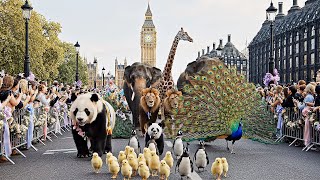 Download Lagu Real Animals Parade London 2026 — Full Event, 4K HDR, Live Animals \u0026 Reactions MP3