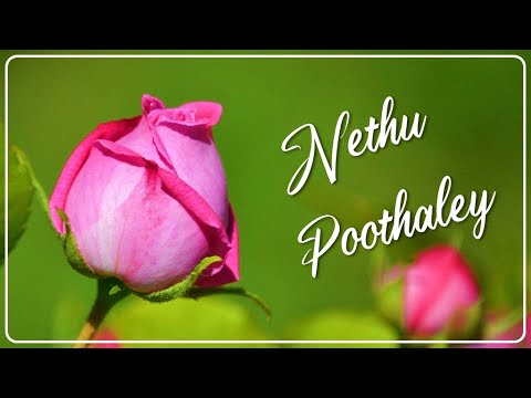     Nethu Poothaley
